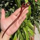 thumbnail image 1 of Horquilla antigua tallada en madera de sándalo rojo lobular, placa para el cabello, artesanías de madera pulida a mano, regalos antiguos de caoba, 1 of 6