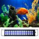 thumbnail image 5 of Lámpara LED para terrario REPTI ZOO ultrafina de 15 W para más de 45 cm, 5 of 9