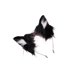 thumbnail image 1 of Cute Black Cats Ear Headwear Cosplay Photoshoots Hairband Plush Comfortable Wear For Lovely Fashion Role Play, 1 of 4
