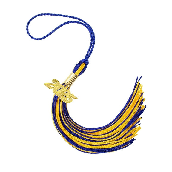 HUANLEDASH Graduation Hat Tassel with 2025 Year Charm Multi Colors Available Color-Blocking Style 40cm Length Cap Hornor Tassel for School Graduation Season