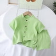 thumbnail image 2 of HCNTES Toddler Baby Boy Birthday Outfit Graphic Animals Embroidery Short Sleeve T-Shirt and Gingham Plaid Shorts Set(Light Green,12-18 Months), 2 of 3