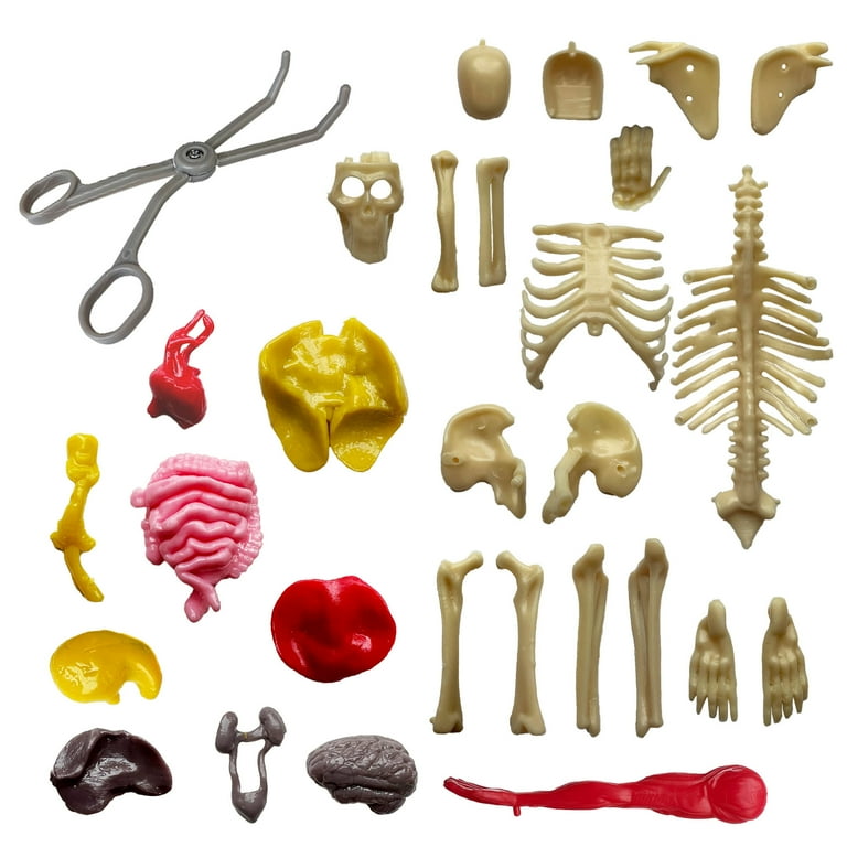 CELLDEA Body Designing System 20袋入り CELLDEA Body Designing System 20袋入り CELLDEA Body Designing