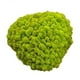 thumbnail image 1 of 2x 25g Jardín Artificial Planta de Decoración de para hogar Decoraciones de Guirnaldas para Bodas perfecl  Piedra de musgo de simulación, 1 of 8