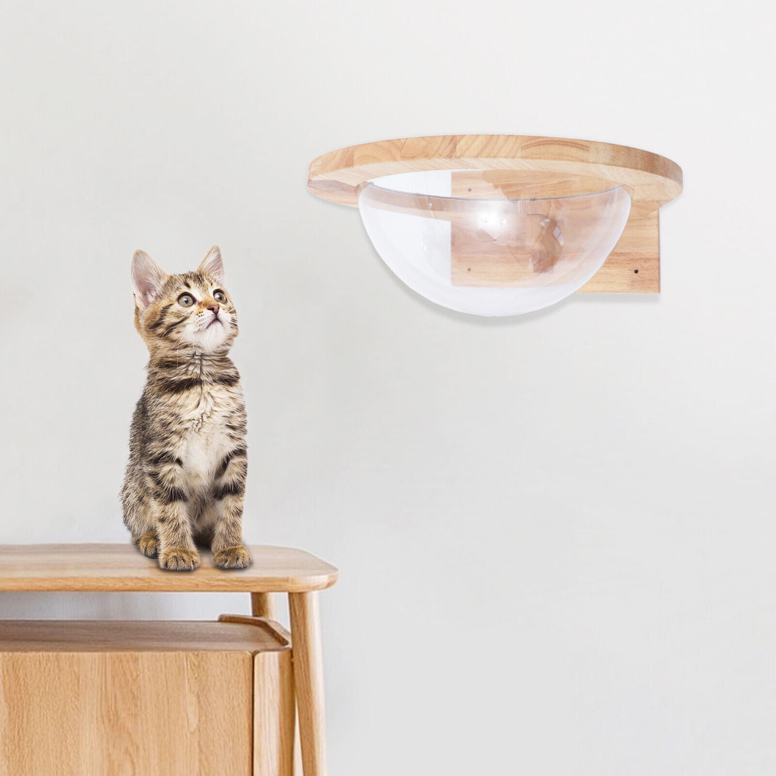 Wall-Mounted Cat Shelf Sleep Bed Rubber Wood Cat Space Capsule Climbing Frame