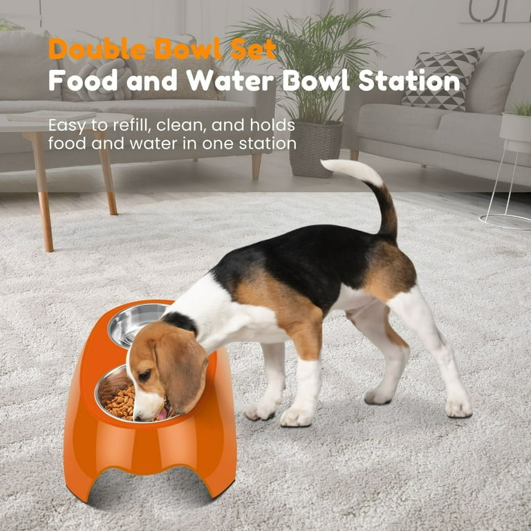 Elevated Dog Bowls Dog Bowl Holder Dog Feeding Station With 2 Stainless  Steel Water Bowls Raised