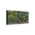 thumbnail image 3 of Trademark Fine Art Pierre Leclerc Angel Oak Charleston Canvas Wall Art - 24x47, 3 of 5