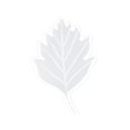 thumbnail image 2 of Koszal Christmas DIY Maple Leaf Shape Silicone Epoxy Coaster Xmas Decoration Craft Mold, 2 of 7