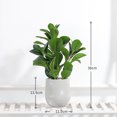 thumbnail image 2 of Lavabo de cemento de simulación, hoja de rábano verde, espalda de tortuga, planta en maceta, decoración para el hogar, sala de estar, escritorio, planta verde, decoración, 2 of 5