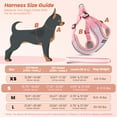 thumbnail image 3 of PcEoTllar Dog Harness and Leash Combo, Escape Proof No Pull Vest Harness, Step-in Reflective Adjustable Soft Padded Pet Harness for Small to Large Dogs, Pink S, 3 of 11
