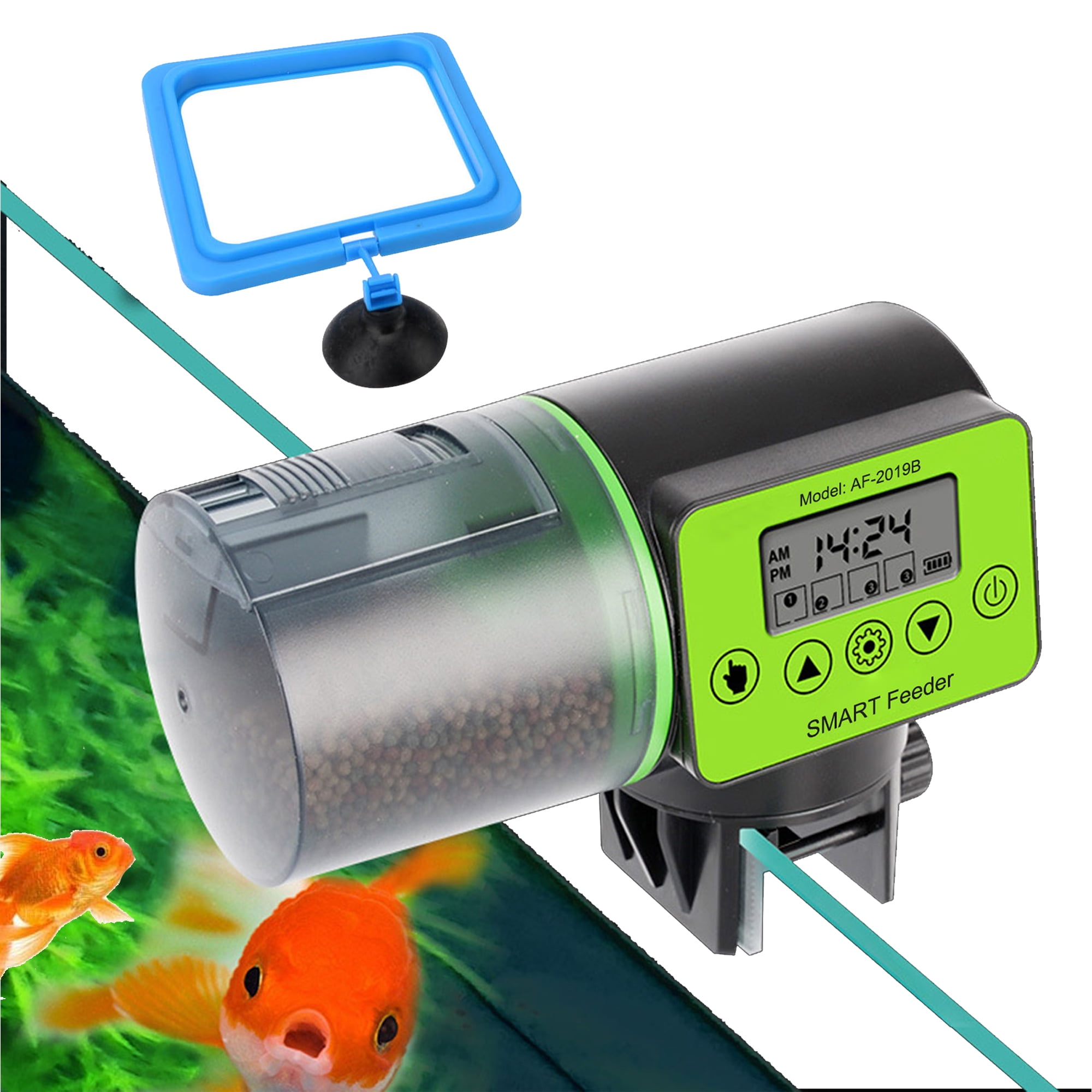 smart feeder for fish