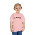thumbnail image 3 of Clearwater Florida Toddler Shirt Gifts Boy Girl Size 2T-5T, 3 of 4