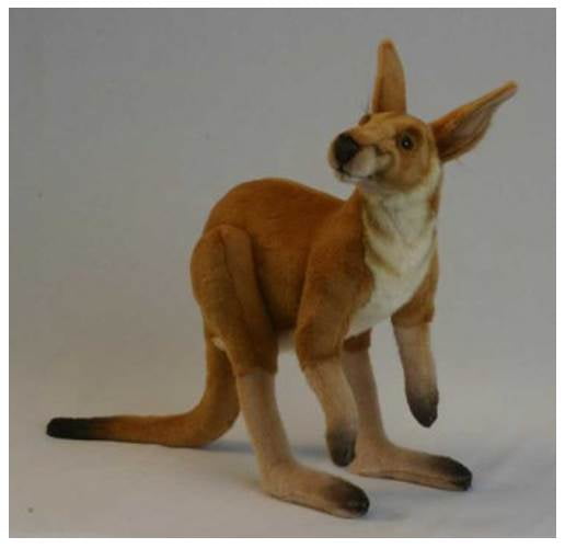 hansa kangaroo
