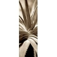 thumbnail image 2 of Blaustein, Alan 9x18 White Modern Wood Framed Museum Art Print Titled - Florison - 77, 2 of 4