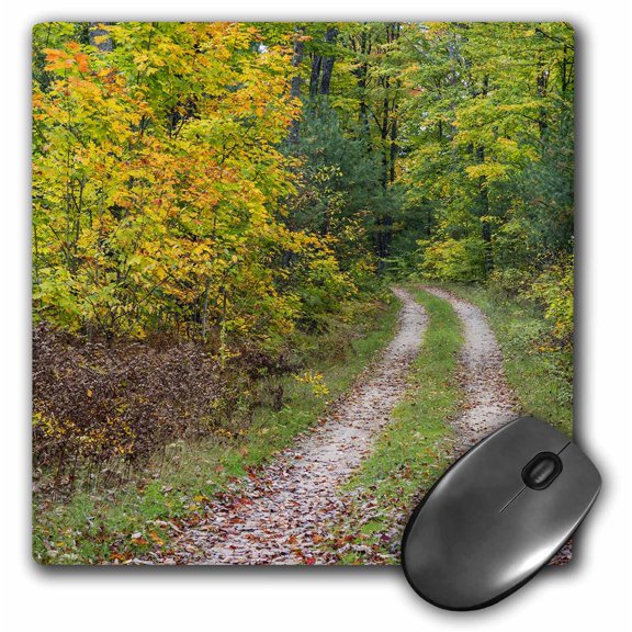 3dRose, Michigan, Hiawatha National Forest, road with trees in fall color, MousePad