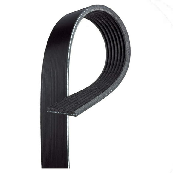 KarParts360 For Nissan Armada 2017 2018 2019 Serpentine Belt | Standard