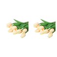 thumbnail image 1 of Monstrate 10 bolsas de materiales para arreglos de flores artificiales DIY impresionantes exhibiciones florales con facilidad para mezclar y Type4 NO4, 1 of 6