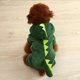 thumbnail image 5 of Dog Autumn And Winter Body Changing Teddy Small Dog Bib Bear Corgi Bomei Cat Funny Pet Clothes ShopWise Round, 5 of 20