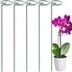 thumbnail image 3 of Soporte Para Plantas, Anillo De Soporte Para Flores, Estacas De Soporte Para Plantas De Metal, Soporte Para Bonsái, Herramienta De Jardín Para Patio Trasero Advancent HA026291-02, 3 of 5