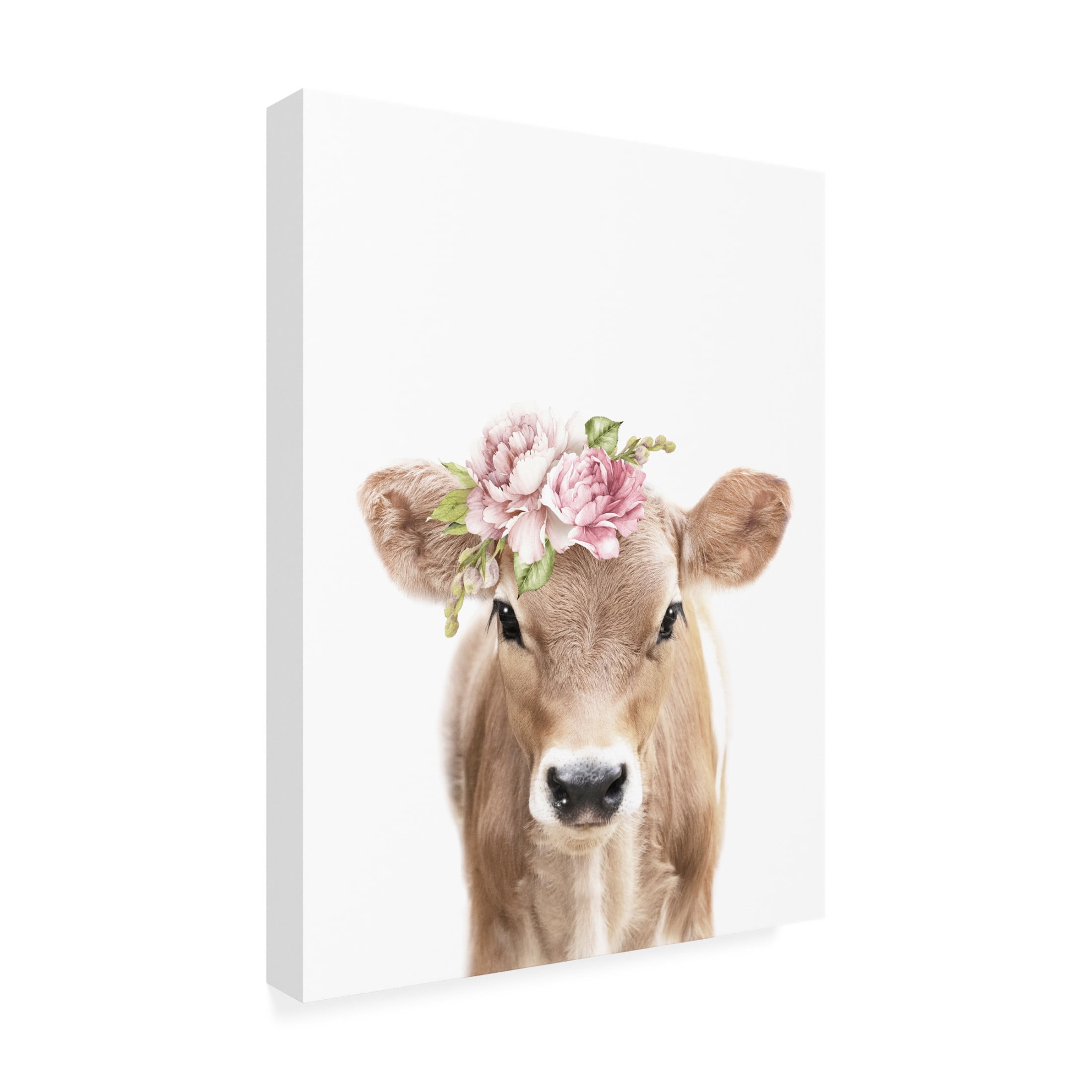 Trademark Fine Art Lola Peacock Floral Baby Calf Canvas Wall Art
