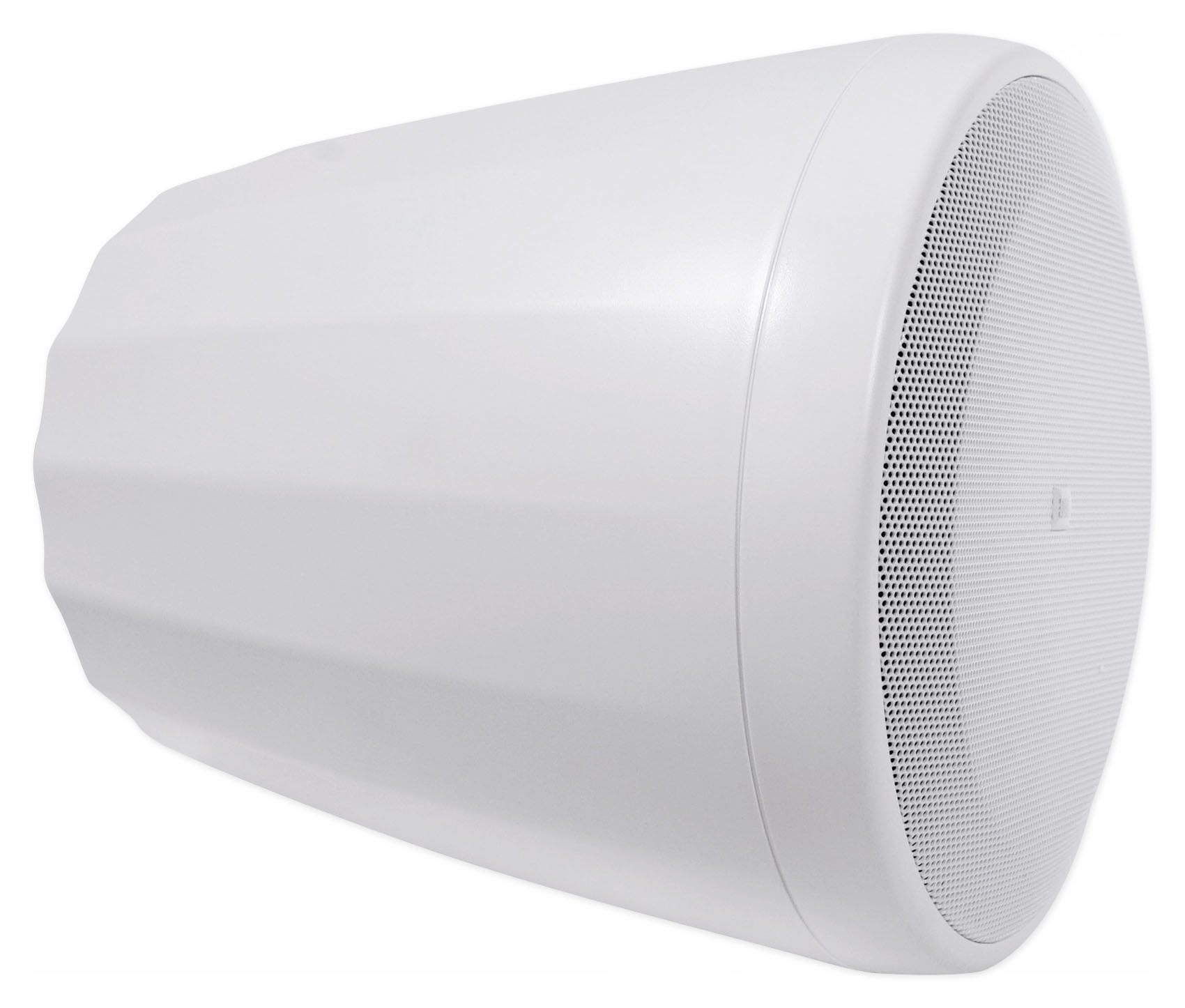 Control 65 P/T Compact Full-Rang ePendant Speaker