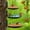 brown, variant on MUAXDA 3 Pack Fence Bird Feeder Bath Tray for Outside, Wild Bird Bath Bowl with Holder, Heavy Duty Wall Tree mounted Pet Squirrel Water Feeder Station Outdoor Garden