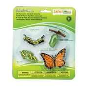 Safari Ltd. Monarch Butterfly Life Cycle Figurines - Miniature Butterfly Lifecycle Collection - Educational Toy for Boys, Girls, and Kids Age 4+