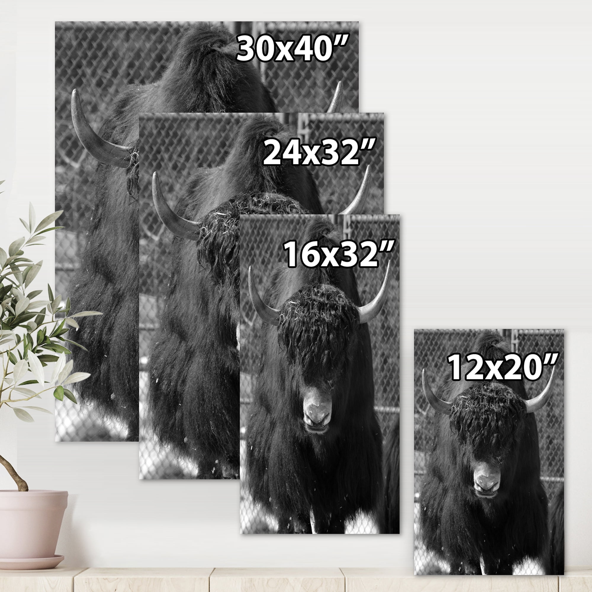 Designart ' Portrait Of Monochrome Wild Bull In Winter Forest II ' Farmhouse Canvas Wall Art Print