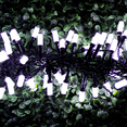 thumbnail image 3 of Serie Navideña Luz Led Blanca Fría Importadora La Merced Foco Tipo Macarron Cable Negro 3.2 Mt, 3 of 6