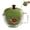 Green, variant on Salad Spinner, Small Salad Spinner Bowl, Fruit Washer Dryer Cleaner