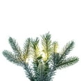 thumbnail image 2 of Vickerman 36" Frosted Douglas Fir Artificial Pre-Lit Teardrop with Warm White LED Lights., 2 of 5