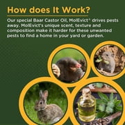 Baar Lawn Mole Castor Oil, MolEvict, Helps Rid Lawns & Gardens of Pesky Moles & Voles – 32 Ounces