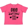thumbnail image 3 of Inktastic Ohio Awesome Since 1803 Boys or Girls Toddler T-Shirt, 3 of 5