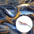 thumbnail image 5 of CHAO Señuelos de pesca Swimbait de plástico, señuelos de pesca de simulación luminosa para equipos de pesca que atraen peces8, 5 of 5
