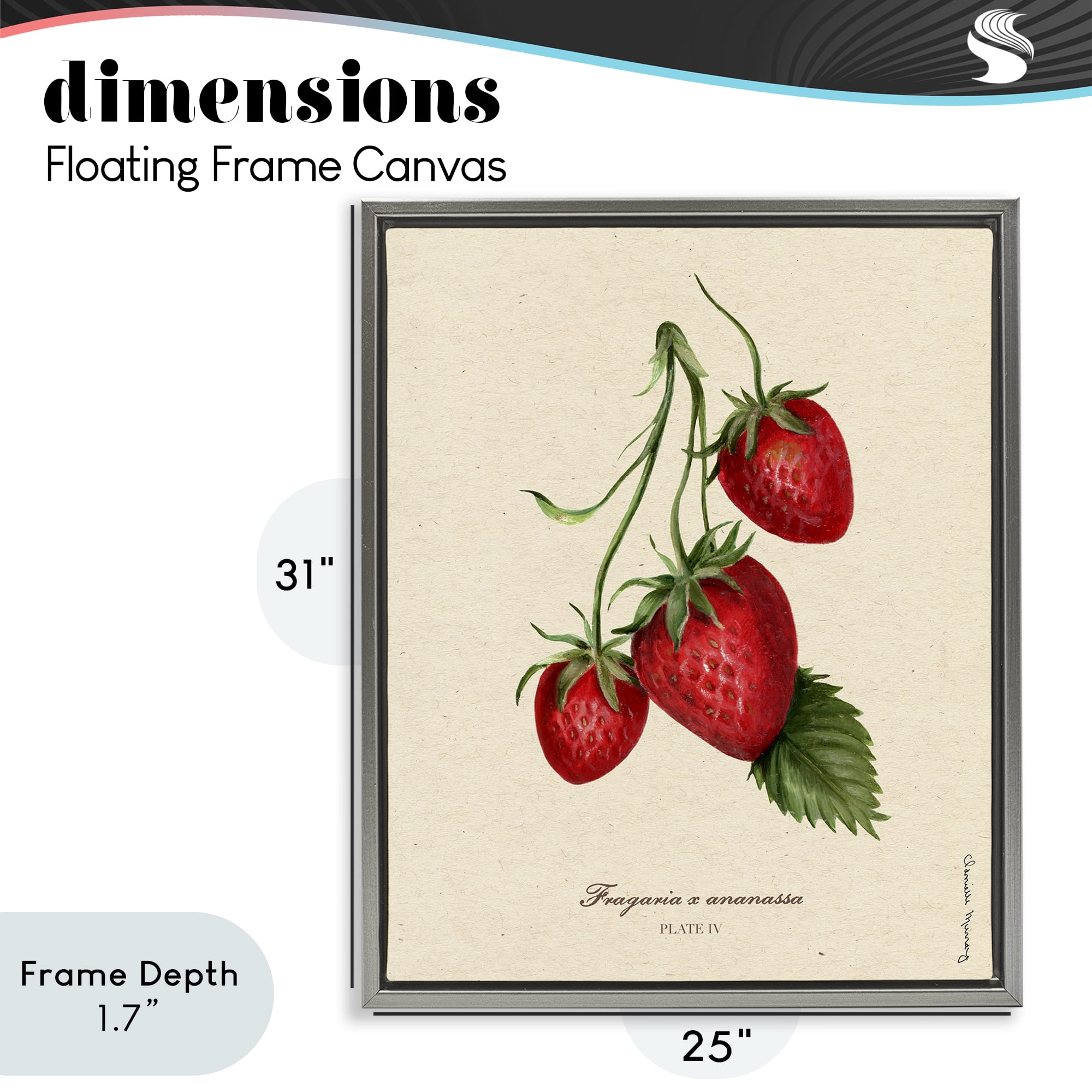 Stupell Industries Strawberry Fruit Portrait Gray Framed Floater Canvas Wall Art, design by Danielle Murray