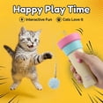 thumbnail image 4 of RYDCOT Cat Toys for Indoors, Interactive Toy Wand Pack, Pom-pom Kitten Toys, Feather Fishing Pole Toy for Play Chase Exercise, Fishing Device Recyclable Launching (1Pcs), 4 of 6