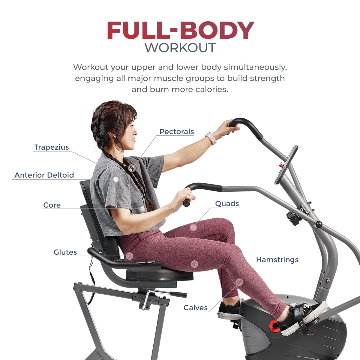Sunny Health & Fitness Performance Interactive Series Recumbent Exercise Bike with Smart Bluetooth & FREE SunnyFit® App