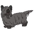 thumbnail image 2 of SignMission D-12-Skye Terrier 7 x 20 in. Super Cute Dog Decal - Skye Terrier, 2 of 2