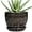 Palindrome Black, variant on Ceramic Pots for Plants - 5 Inch Plant Pot Indoor with Drainage Hole and Saucer, Outdoor Flower Pot, Decorative Round Planter for Succulent Orchid Snake Plants, White