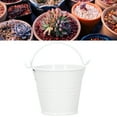 thumbnail image 1 of 10PCS Mini Succulent Flower Pot Small Metal Bucket for Indoor Outdoor Decor, 1 of 8