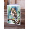 thumbnail image 2 of Carolines Treasures DAC7463GCA7P 5 x 7 in. Northern Pygmy Owl Greeting Cards - Pack of 8, 2 of 3
