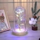 thumbnail image 2 of Mother's Day Birthday Mom Gifts Artificial Flower Rose Led Light In Glass Dome, 2 of 3