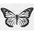 thumbnail image 2 of Greene, Taylor 24x20 Gold Ornate Wood Framed with Double Matting Museum Art Print Titled - Butterfly 2, 2 of 4