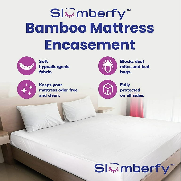 Mattress safe encasement walmart deals