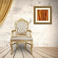 thumbnail image 3 of Quintero, Tita 20x20 Gold Ornate Wood Framed with Double Matting Museum Art Print Titled - Bamboo Columbia III, 3 of 4