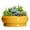 Bright Yellow, variant on Ordivic 6 inch Blue Glaze Round Ceramic Bonsai Pot with Drainage Hole & Saucer, Decorative Indoor Planter for Home Living Room Decor