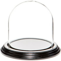 Plymor 4" x 4" Glass Display Dome Cloche (Black Wood Veneer Base)