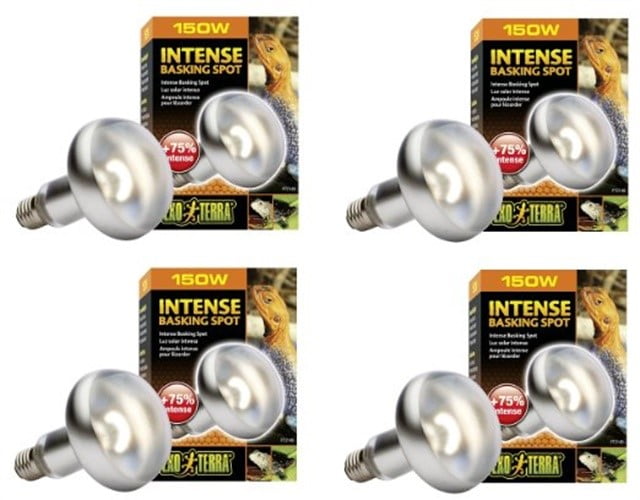 exo terra 150 watt bulb