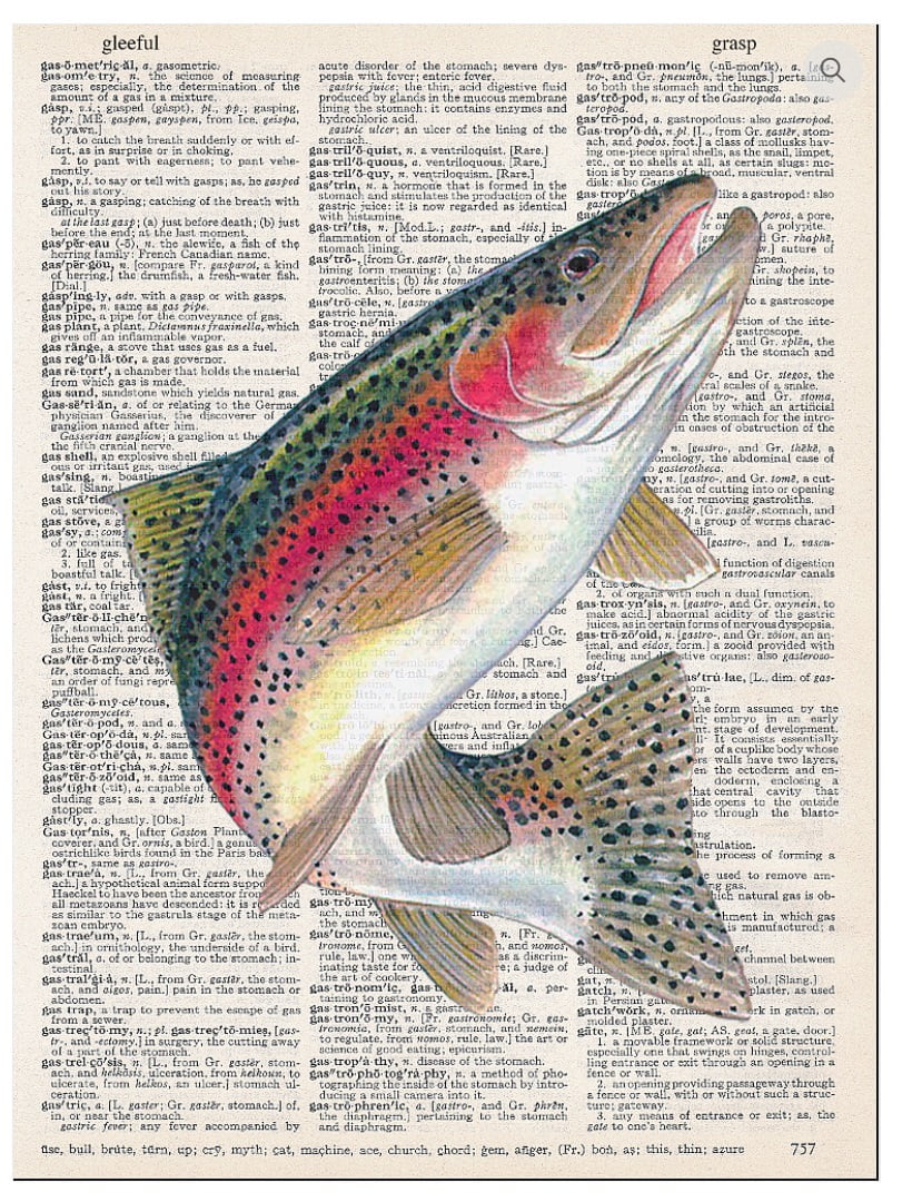 Art N Wordz Rainbow Trout Fish Dictionary Page Pop Art Wall or Desk Art
