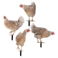 thumbnail image 4 of NUOLUX 4Ud Estaca Decorativa Para Jardín En Forma De Gallina Acrílica Resistente Y Colorida, 4 of 7