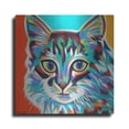 thumbnail image 1 of Luxe Metal Art 'Dramatic Cats II' by Carolee Vitaletti Metal Wall Art, 24"x24", 1 of 7